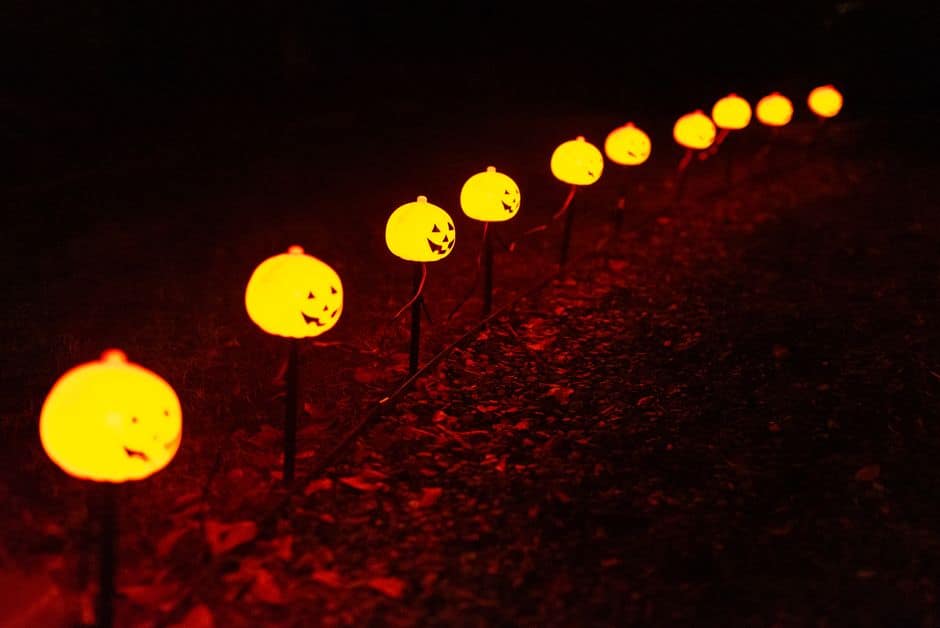 Halloween en Kew Gardens: luces, misterio y espectáculos nocturnos en el jardín botánico de Londres